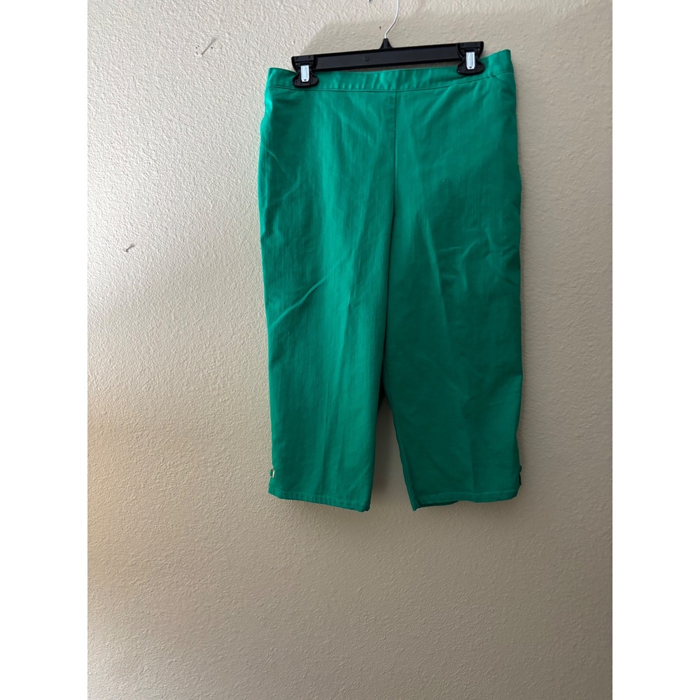 Alfred Dunner Petite Green Capri Pants Elastic Waist Pull On Trousers 10P
A1070